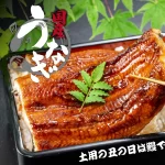 国産うなぎのお取り寄せグルメランキング！土用の丑の日は鰻で決まり！